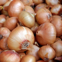 Onion Exporter