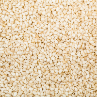 Sesame Seeds Exporter