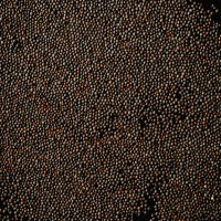 Mustard Seeds Exporter