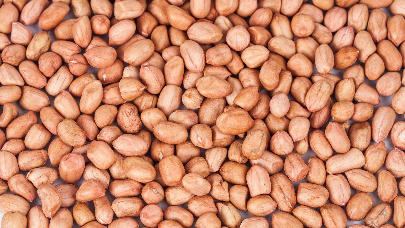 Groundnut Exporter From India