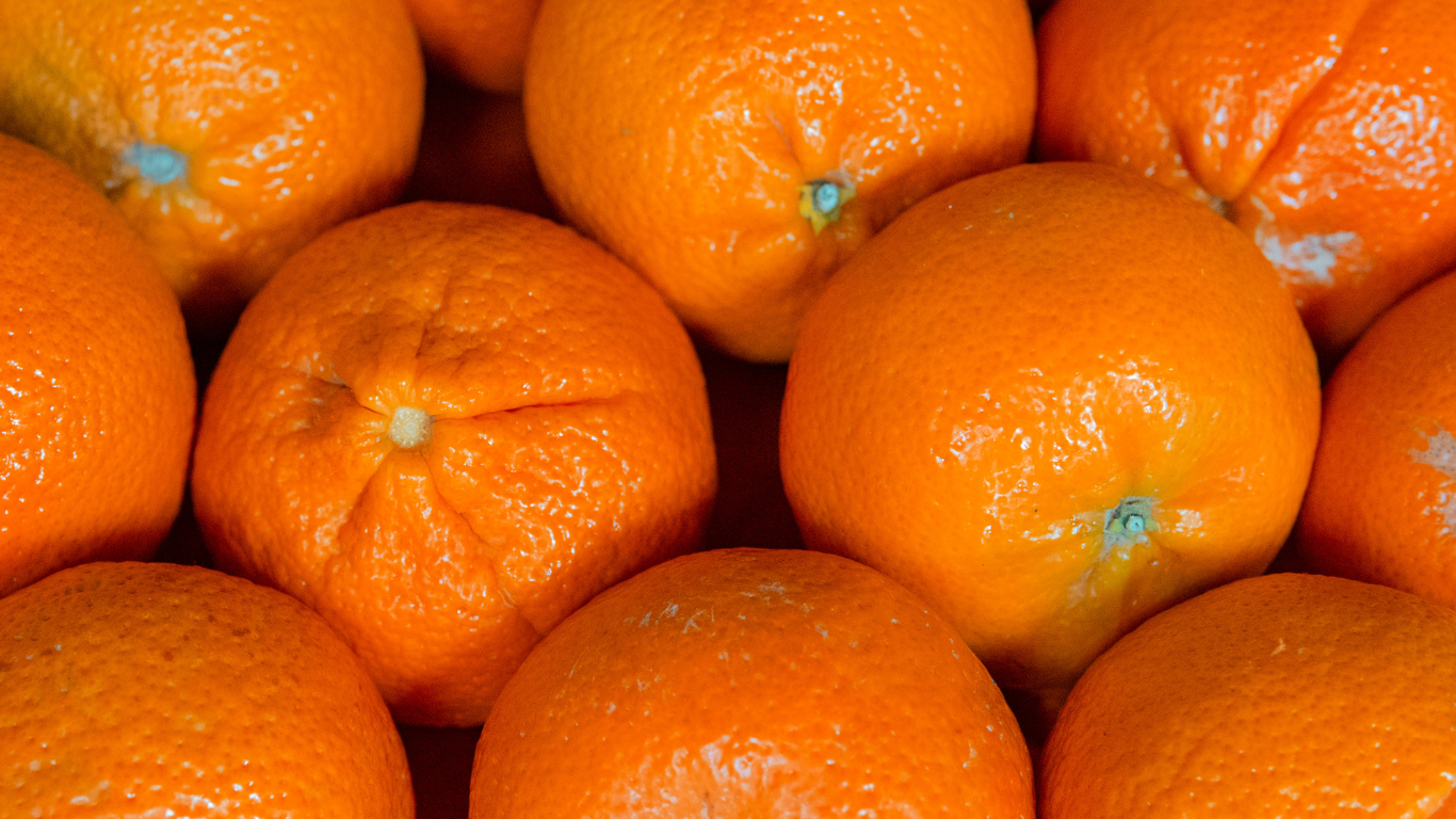 Orange Exporter From India