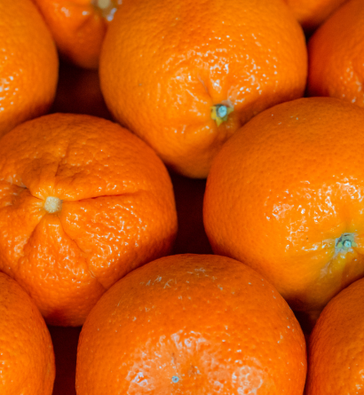 Oranges Exporter