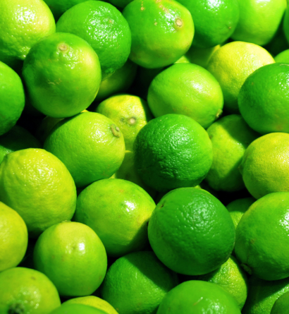 Lemon Exporter