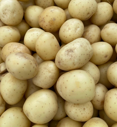Potato Exporter