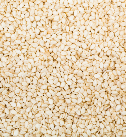 Sesame Seeds Exporter