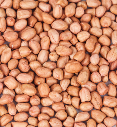 Groundnut Exporter